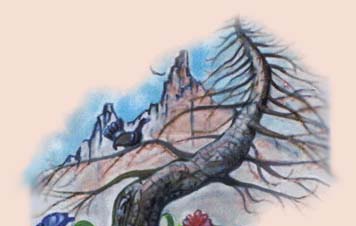 Cavedago - Trento